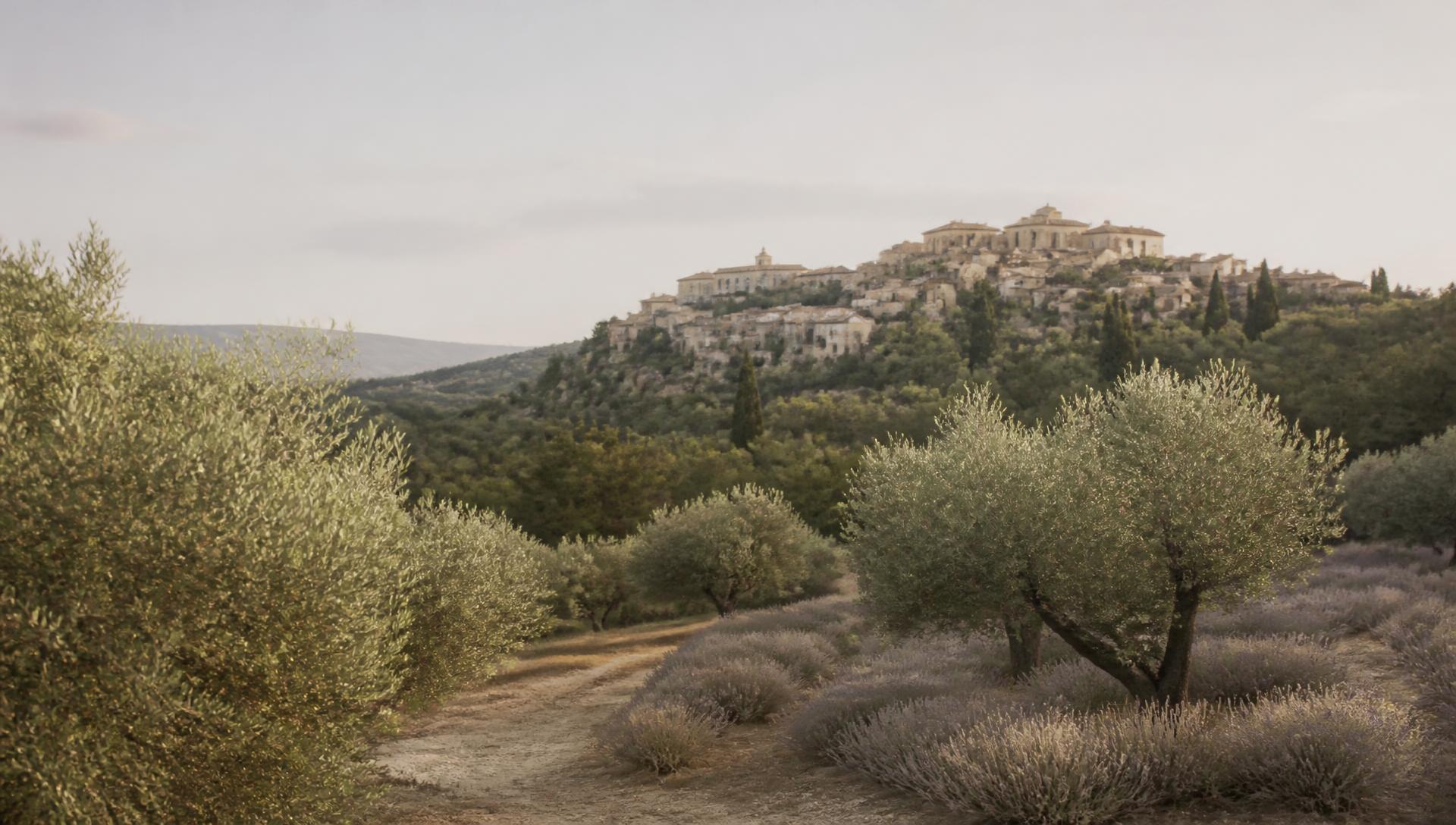 Collines du Luberon, oliviers et village perché en pierre blonde